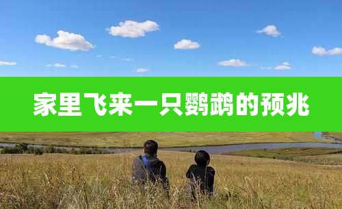 家里飞来一只鹦鹉的预兆