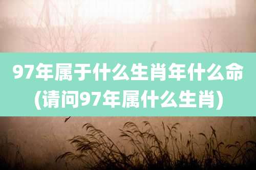 97年属于什么生肖年什么命(请问97年属什么生肖)
