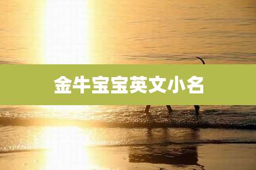 金牛宝宝英文小名