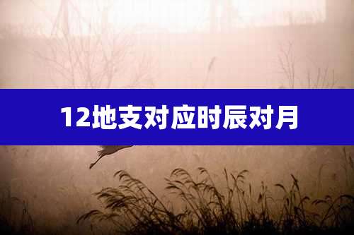 12地支对应时辰对月