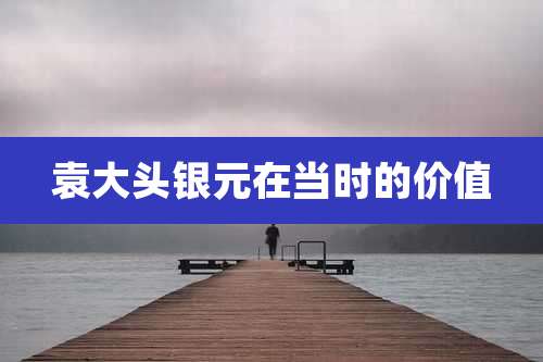 袁大头银元在当时的价值