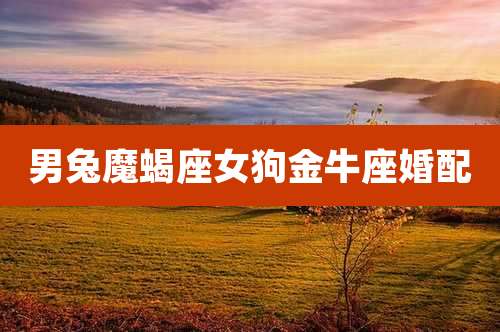 男兔魔蝎座女狗金牛座婚配