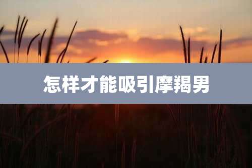 怎样才能吸引摩羯男