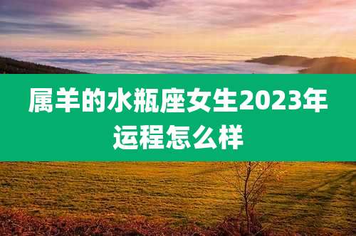 属羊的水瓶座女生2023年运程怎么样