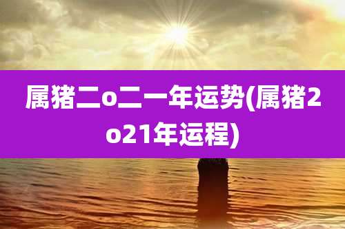 属猪二o二一年运势(属猪2o21年运程)