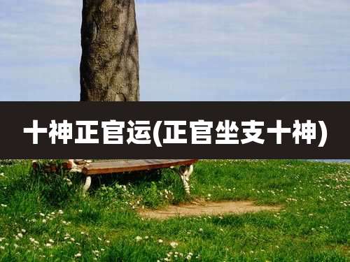 十神正官运(正官坐支十神)