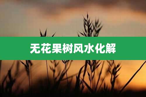 无花果树风水化解