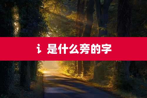 讠是什么旁的字