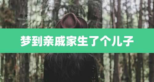 梦到亲戚家生了个儿子