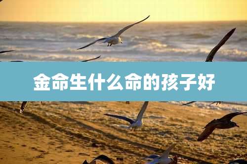 金命生什么命的孩子好