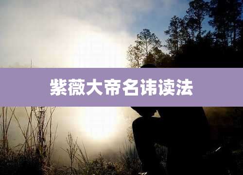 紫薇大帝名讳读法