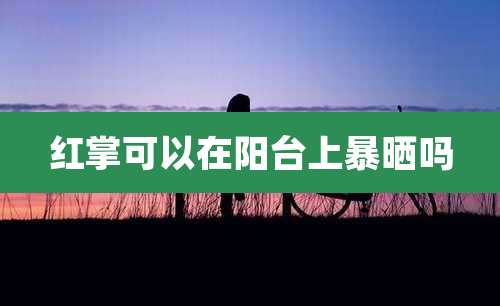 红掌可以在阳台上暴晒吗