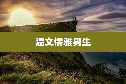 温文儒雅男生