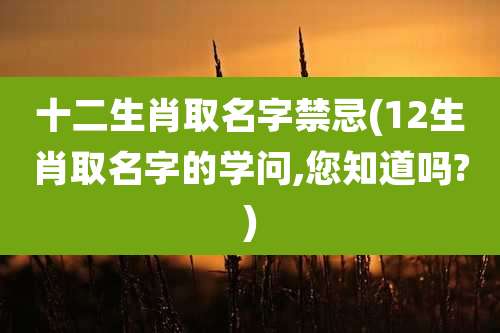 十二生肖取名字禁忌(12生肖取名字的学问,您知道吗?)