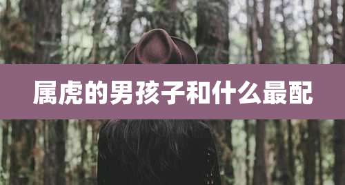 属虎的男孩子和什么最配