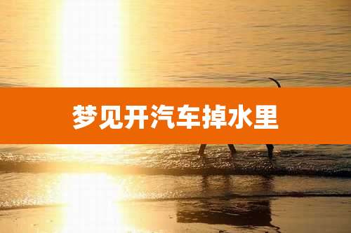 梦见开汽车掉水里