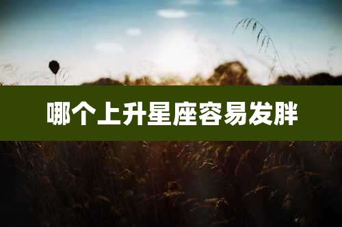 哪个上升星座容易发胖