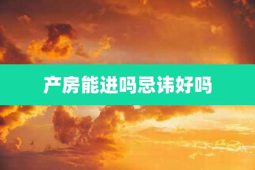 产房能进吗忌讳好吗