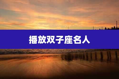 播放双子座名人