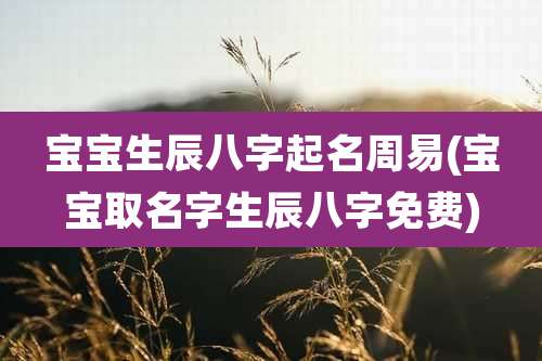 宝宝生辰八字起名周易(宝宝取名字生辰八字免费)