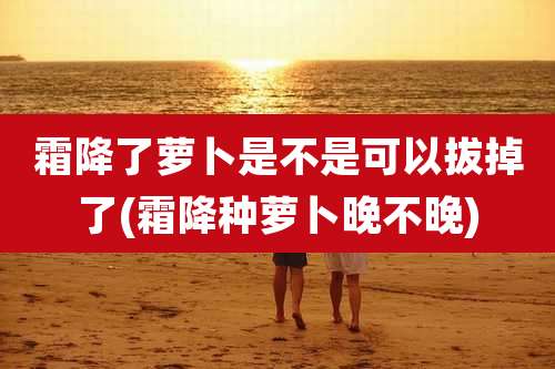 霜降了萝卜是不是可以拔掉了(霜降种萝卜晚不晚)