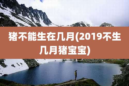 猪不能生在几月(2019不生几月猪宝宝)