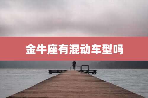 金牛座有混动车型吗