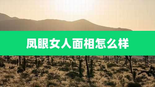 凤眼女人面相怎么样
