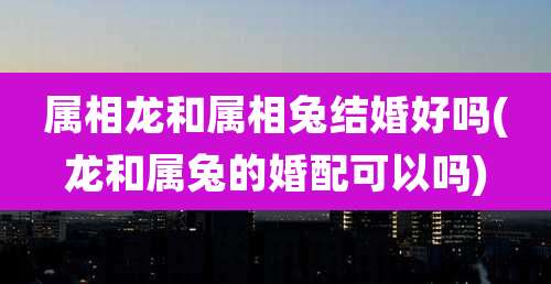 属相龙和属相兔结婚好吗(龙和属兔的婚配可以吗)