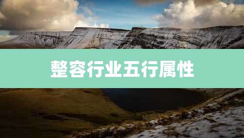 整容行业五行属性