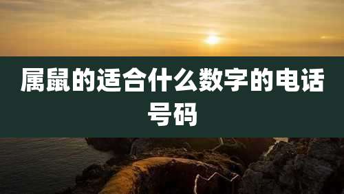 属鼠的适合什么数字的电话号码
