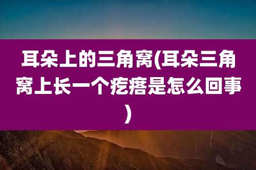 耳朵上的三角窝(耳朵三角窝上长一个疙瘩是怎么回事)