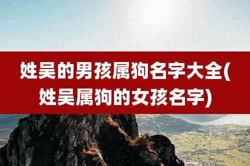 姓吴的男孩属狗名字大全(姓吴属狗的女孩名字)