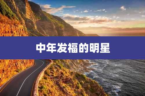 中年发福的明星