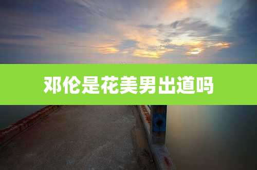 邓伦是花美男出道吗