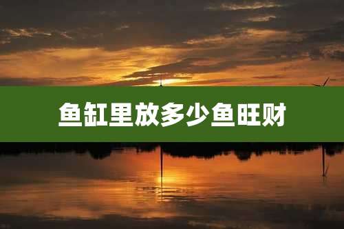 鱼缸里放多少鱼旺财