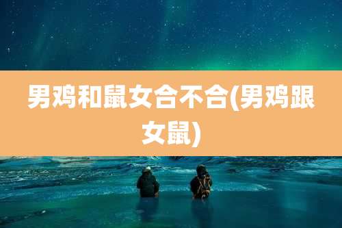 男鸡和鼠女合不合(男鸡跟女鼠)