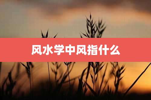 风水学中风指什么