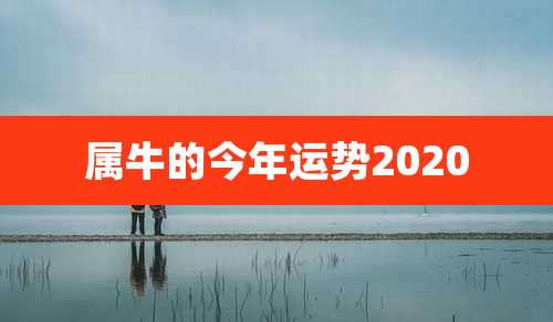属牛的今年运势2020