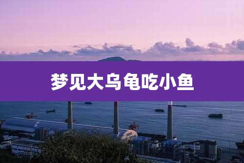 梦见大乌龟吃小鱼