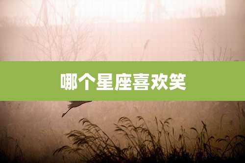 哪个星座喜欢笑