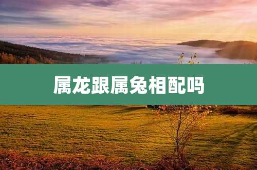 属龙跟属兔相配吗