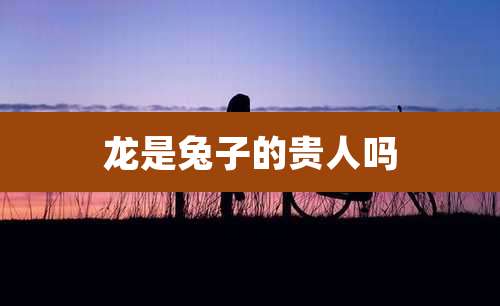 龙是兔子的贵人吗