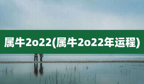 属牛2o22(属牛2o22年运程)