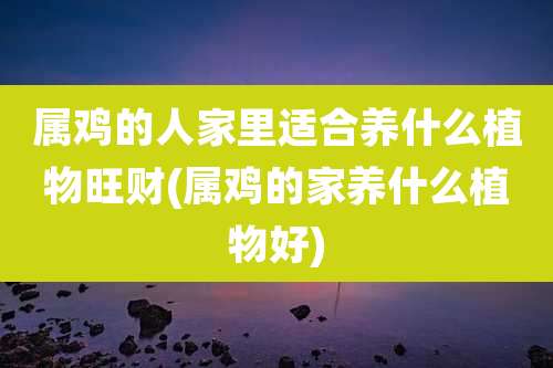 属鸡的人家里适合养什么植物旺财(属鸡的家养什么植物好)