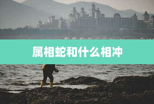 属相蛇和什么相冲