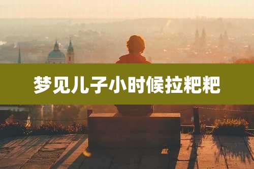 梦见儿子小时候拉粑粑