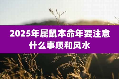 2025年属鼠本命年要注意什么事项和风水