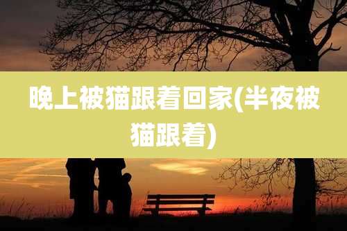 晚上被猫跟着回家(半夜被猫跟着)