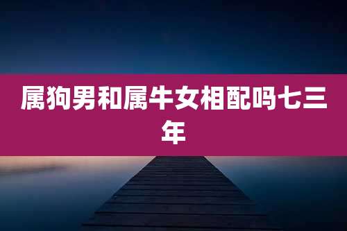 属狗男和属牛女相配吗七三年